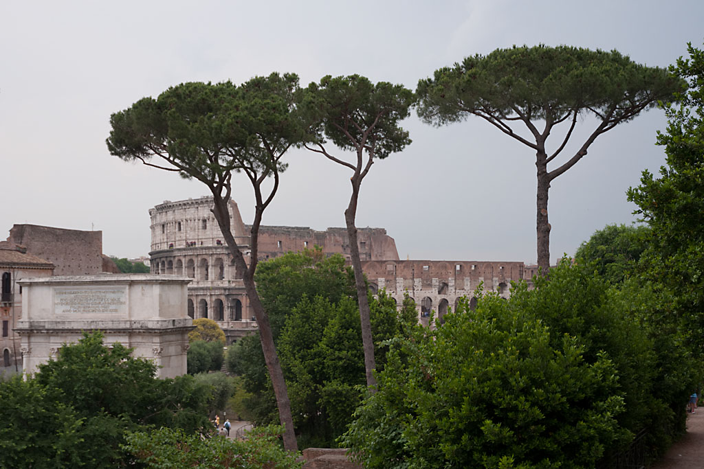 Kolosseum vom Forum Romanum aus gesehen