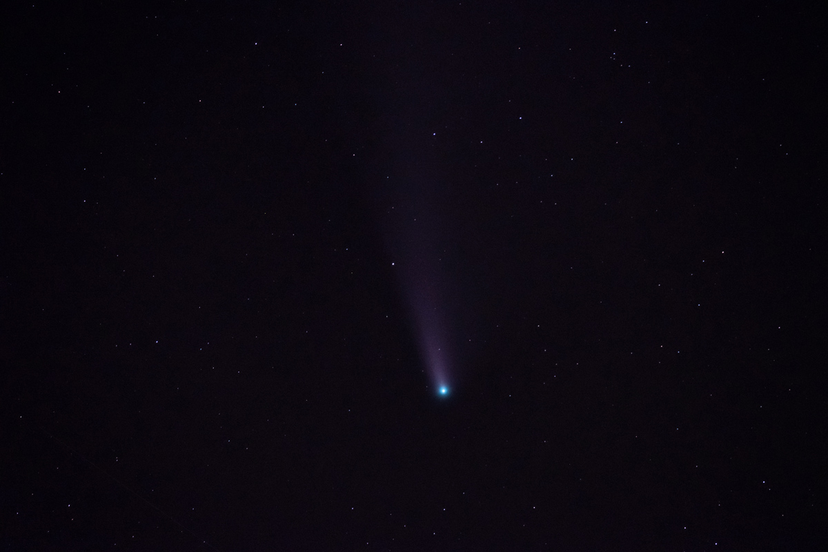 Komet Neowise