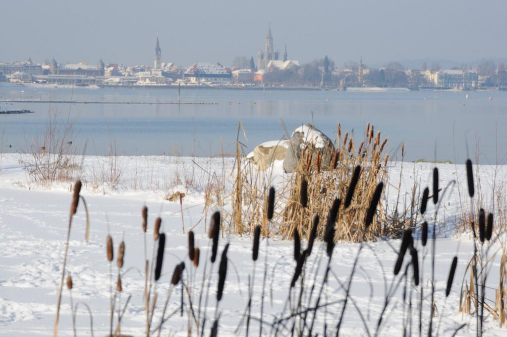 Konstanzer Bucht