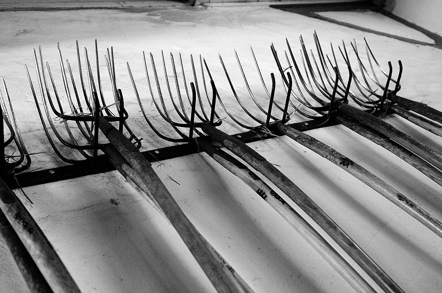 Kopie von D30 0720bw