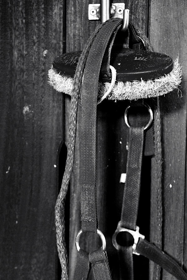 Kopie von D30 0723bw