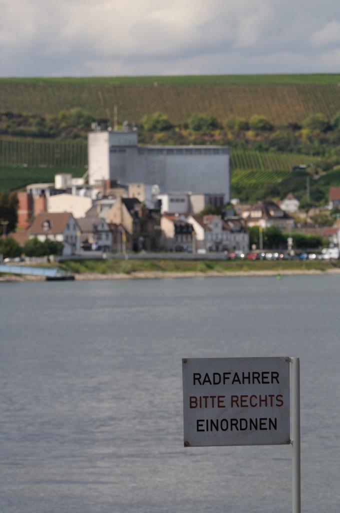 Kornsand, Rhein (Hessen)
D300 &amp; 35-200mm, 1:3,5-4,5
Blende 5.6, 1/750s, ISO 200