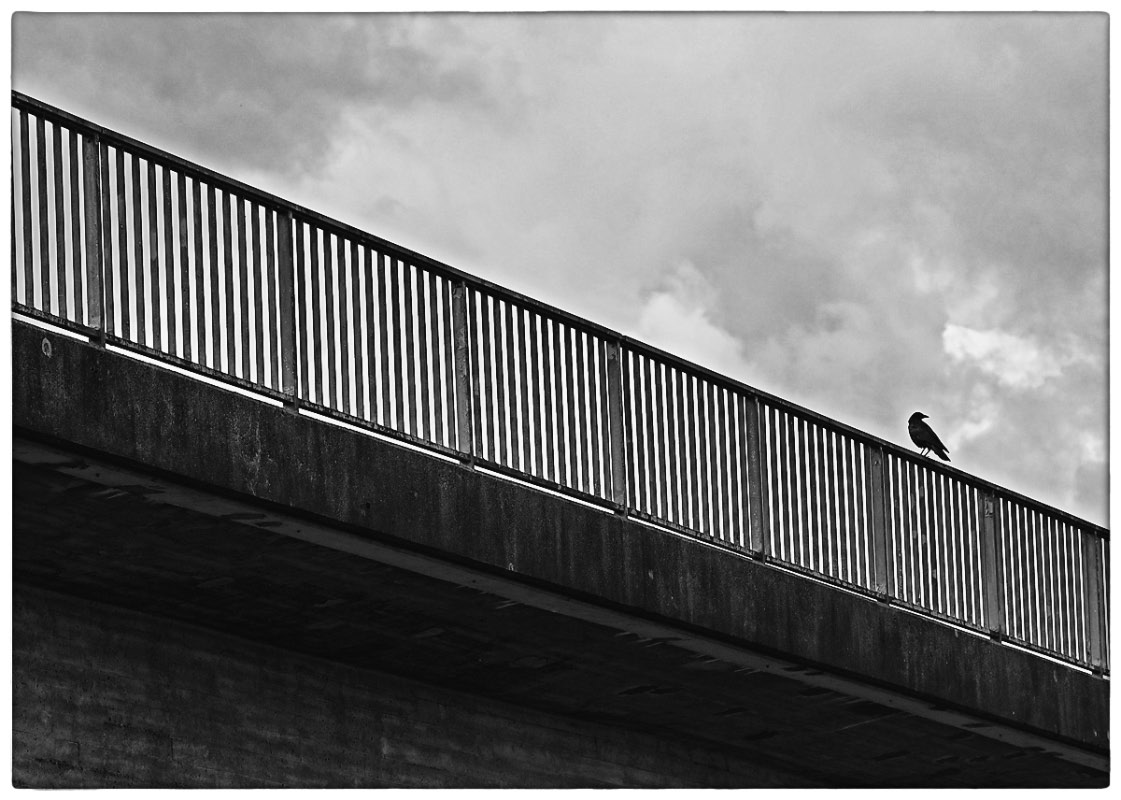 Krähe auf der Brücke_BW 2.jpg