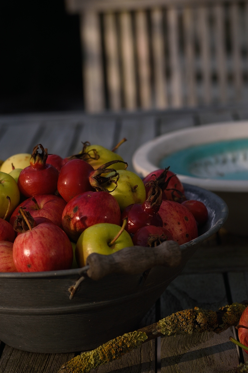 KR 540kDSC 4742