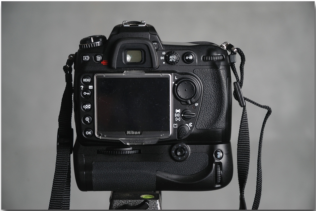 KR DSC 1831 02