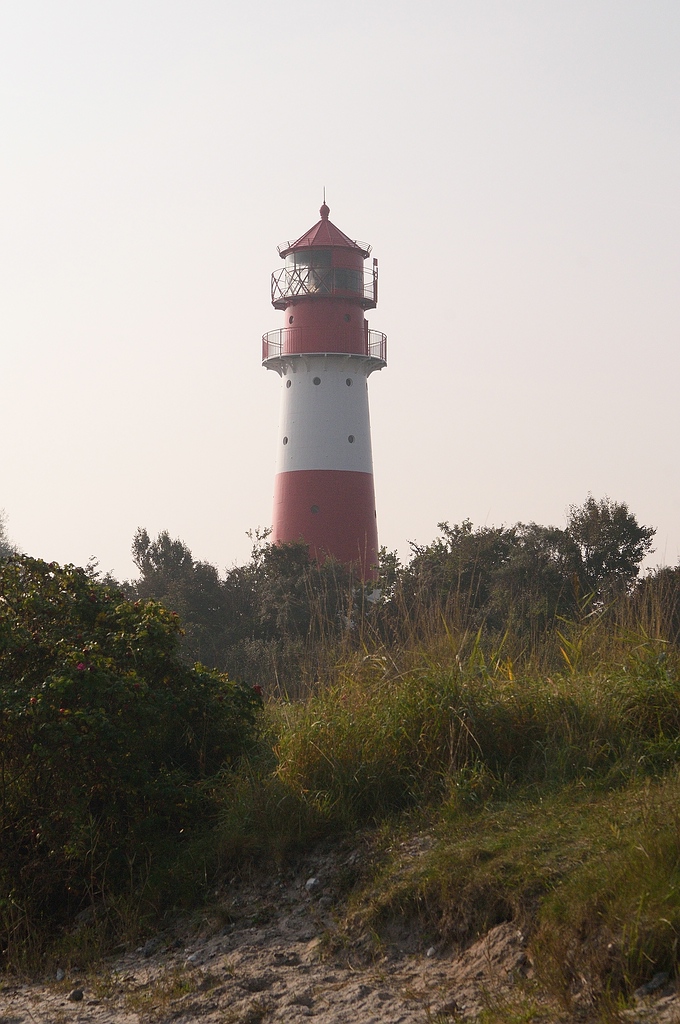 KR DSC 4137