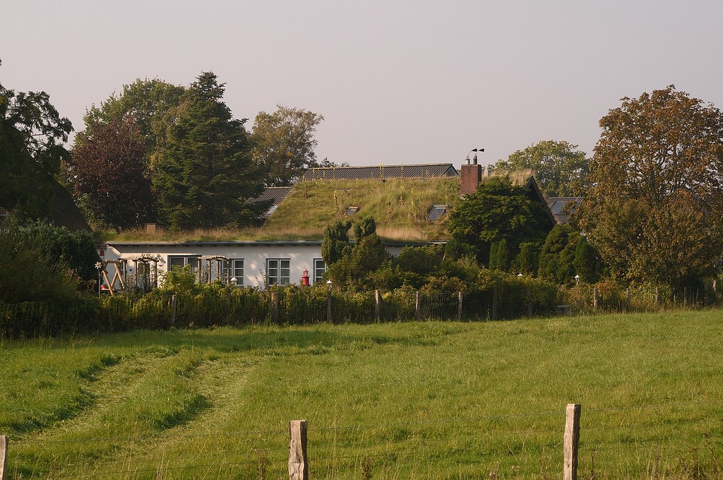 KR DSC 4147