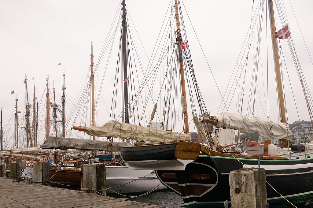 KR DSC 4251