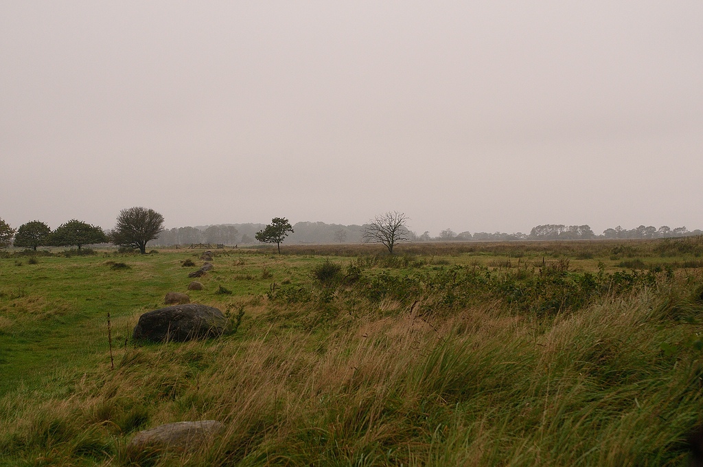 KR DSC 4317