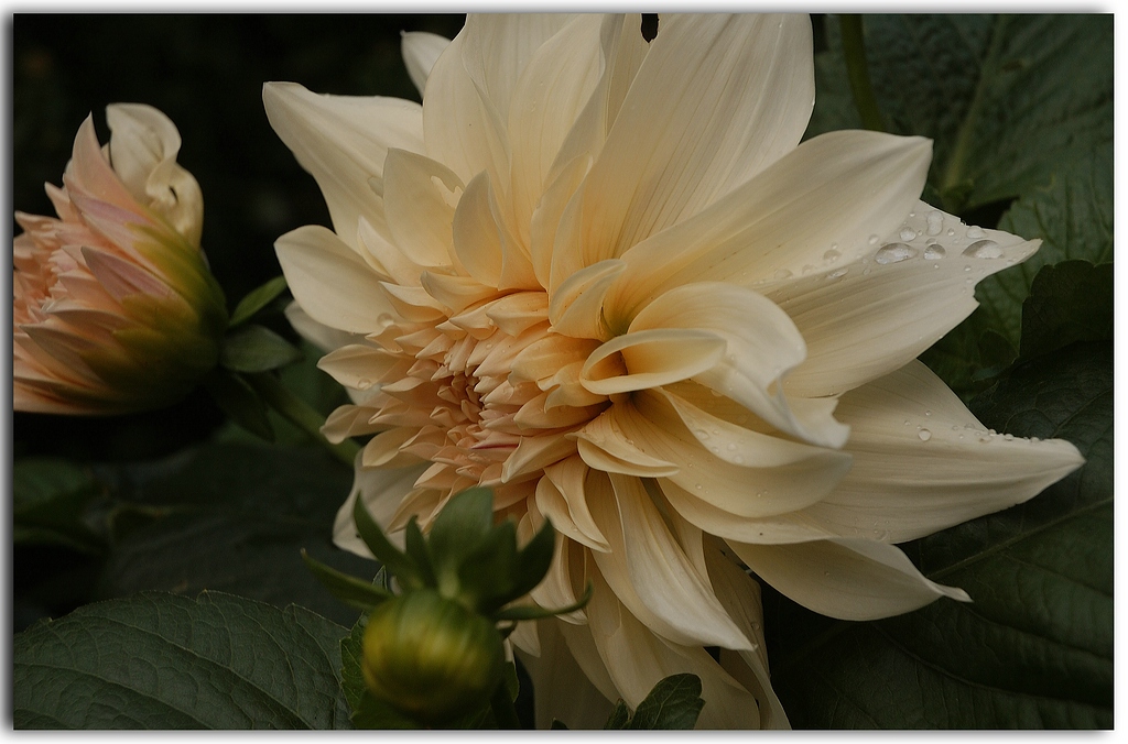 KR DSC 6848 1