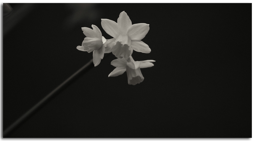 KR DSC 8238 1