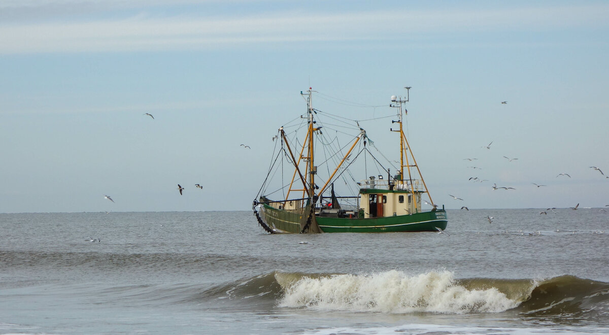 Krabbenkutter vor Norderney.jpg