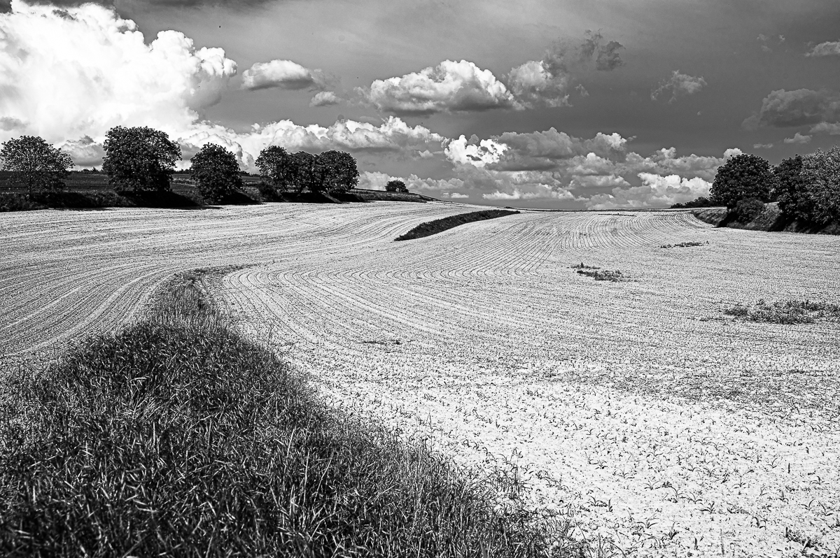 Kraichgau-2821.jpg