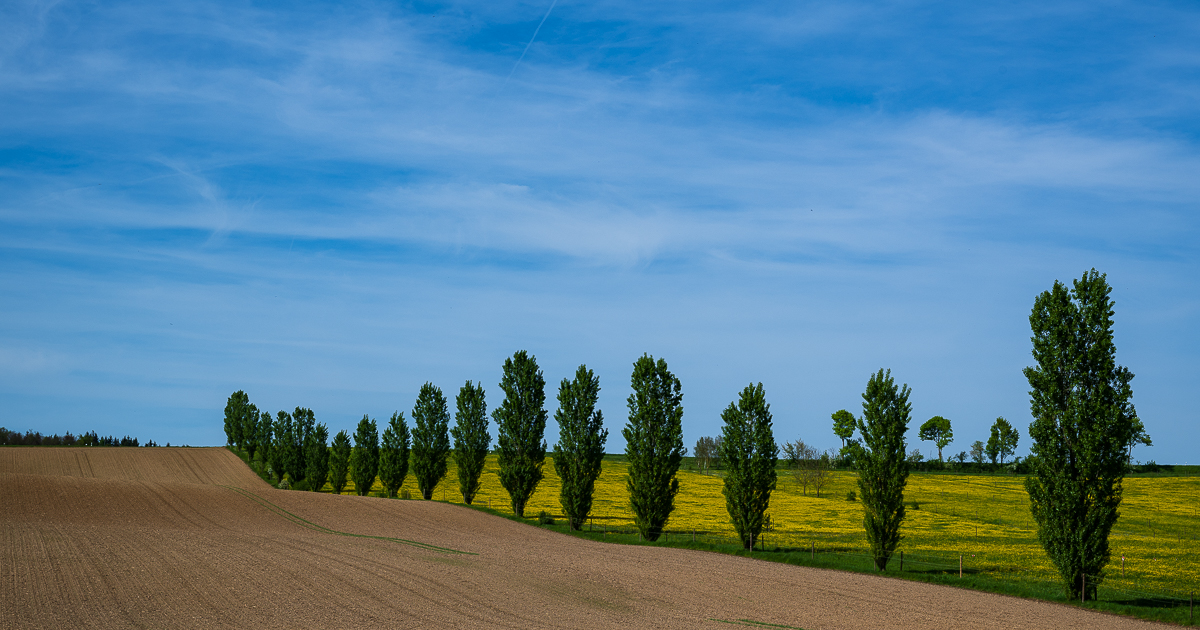 Kraichgau Frühjahr-0940.jpg