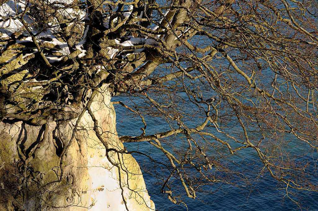 Kreidefelsen Königstuhl, Rügen 2009