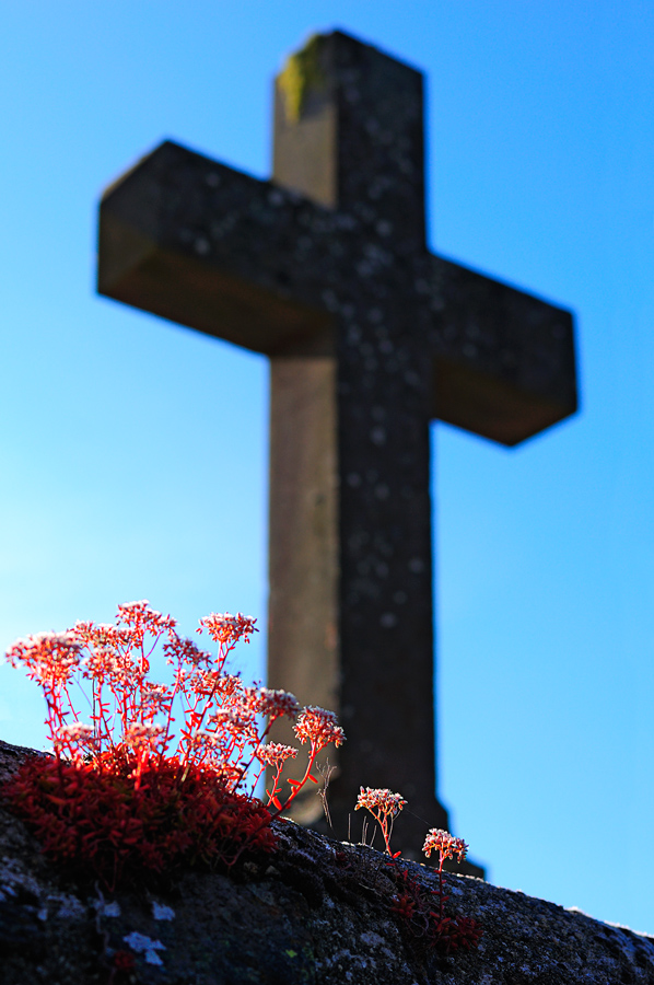 Kreuz