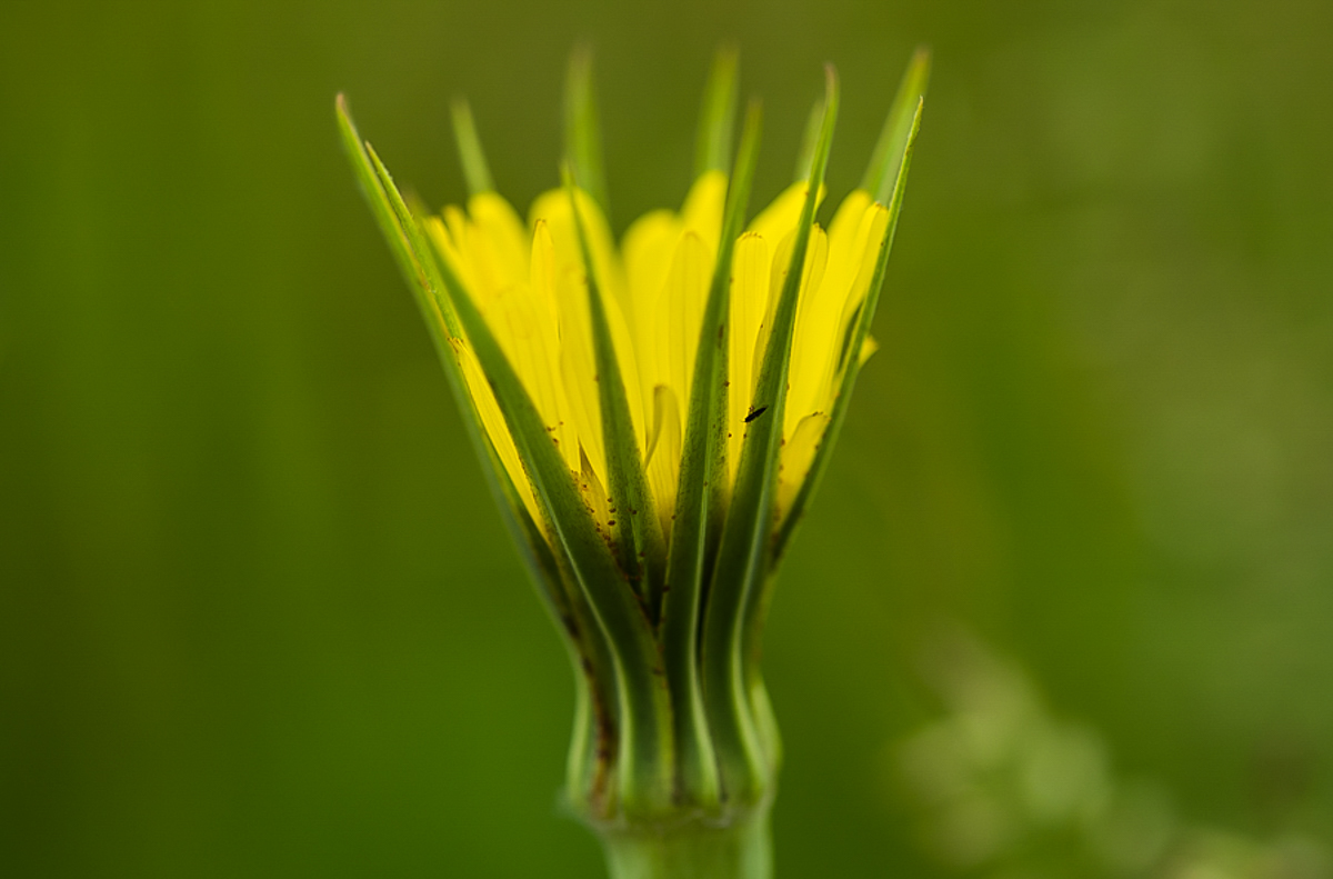 Kronleuchter (1 von 1).JPG