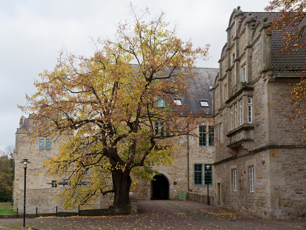 KSW02645.jpg