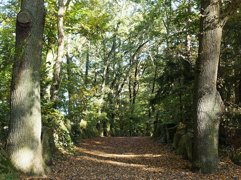 KSW03107.jpg