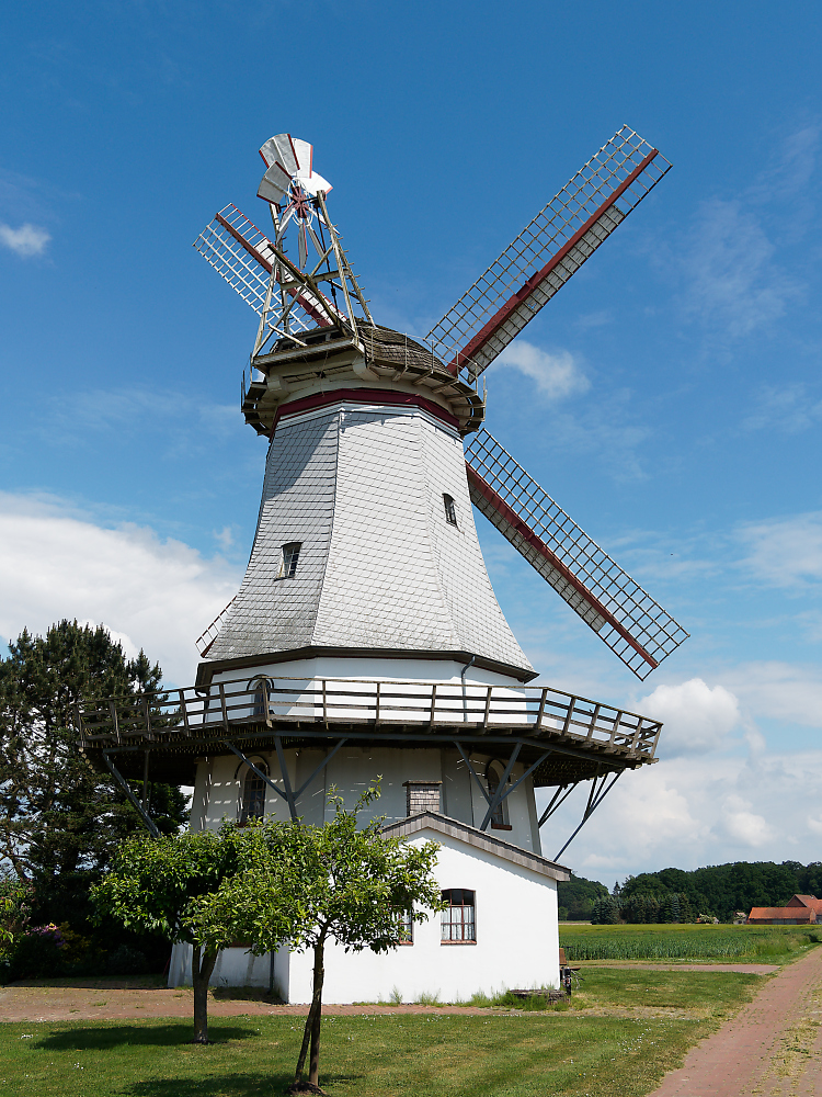 KSW03193.jpg