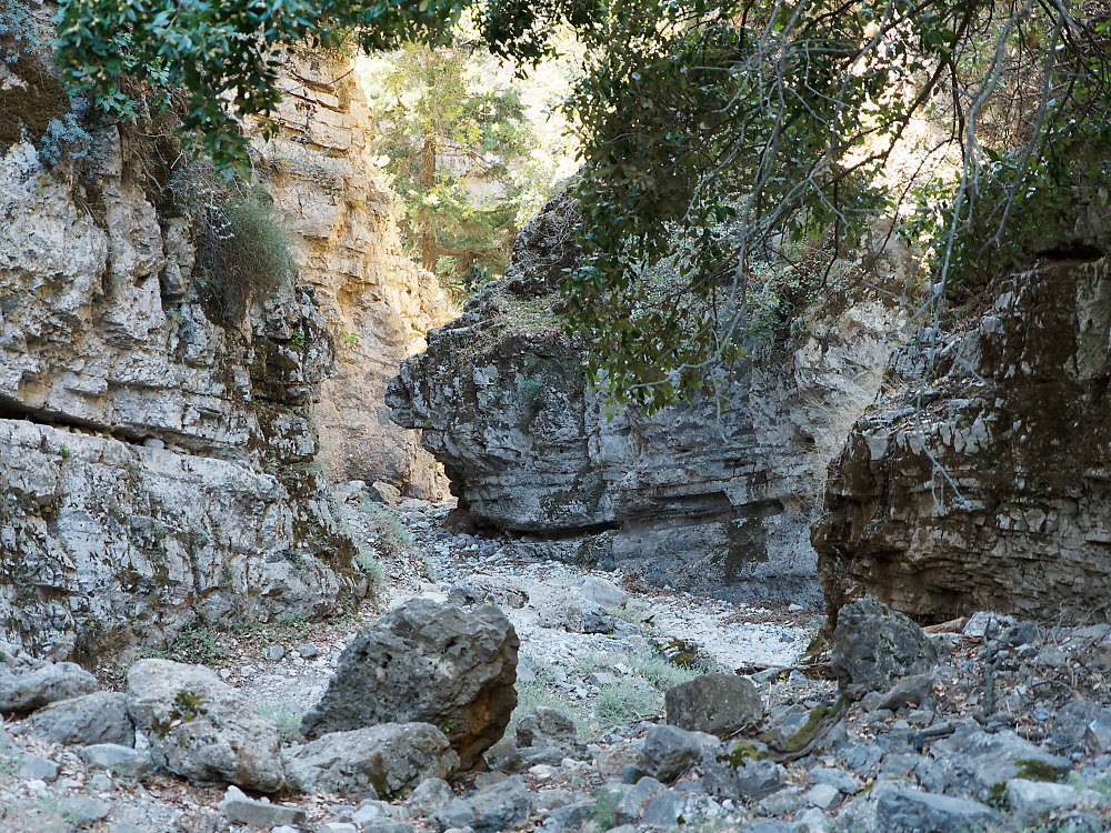 KSW04544.jpg