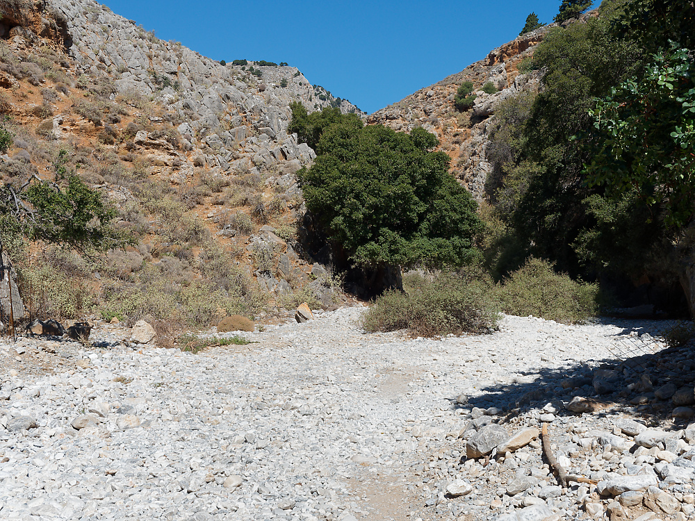 KSW04560.jpg