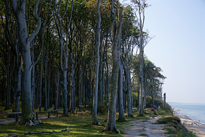 KSW_3741.jpg
