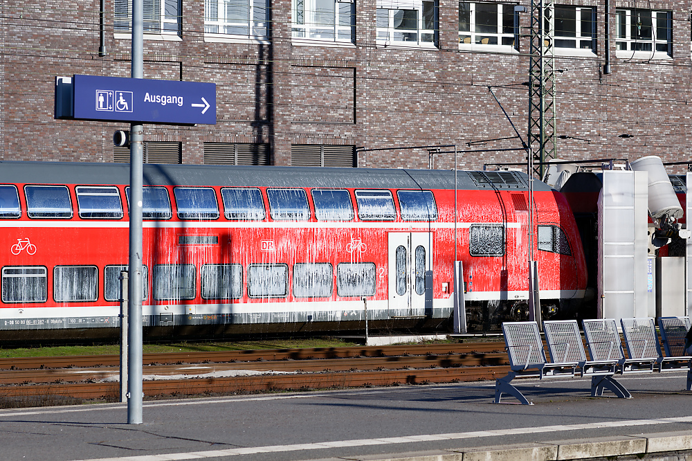 KSW_8079.jpg