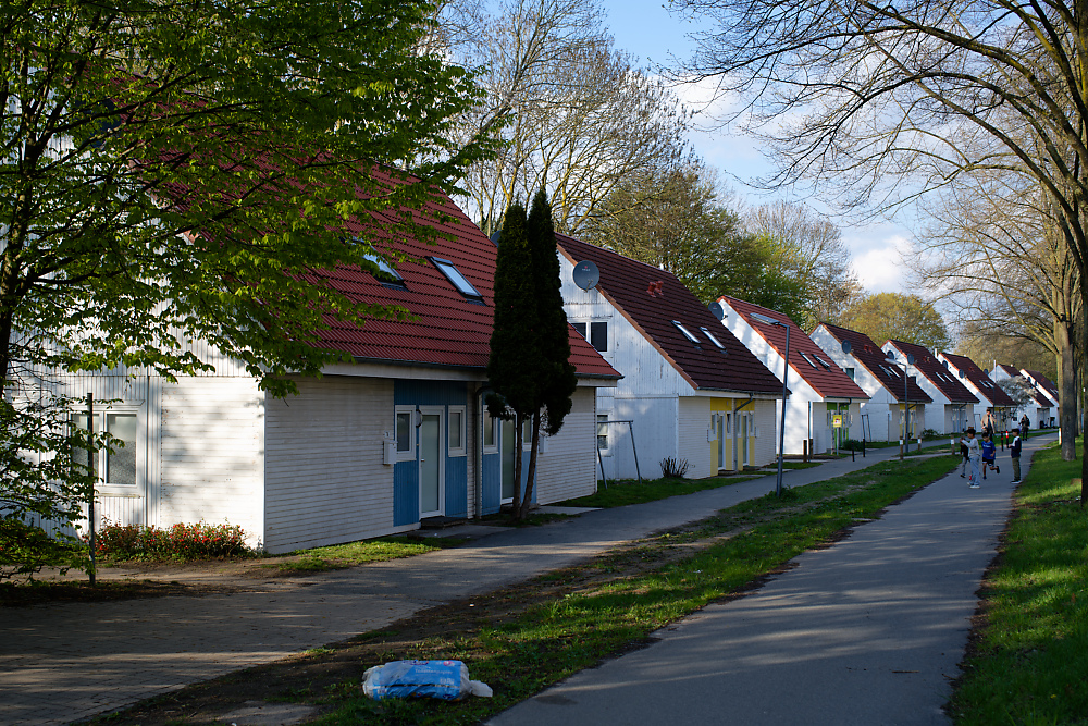 KSW_8517.jpg