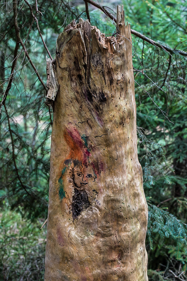 Kunst am Baum (1 von 1).jpg