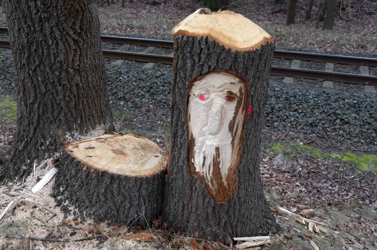 Kunst am Baum.jpg