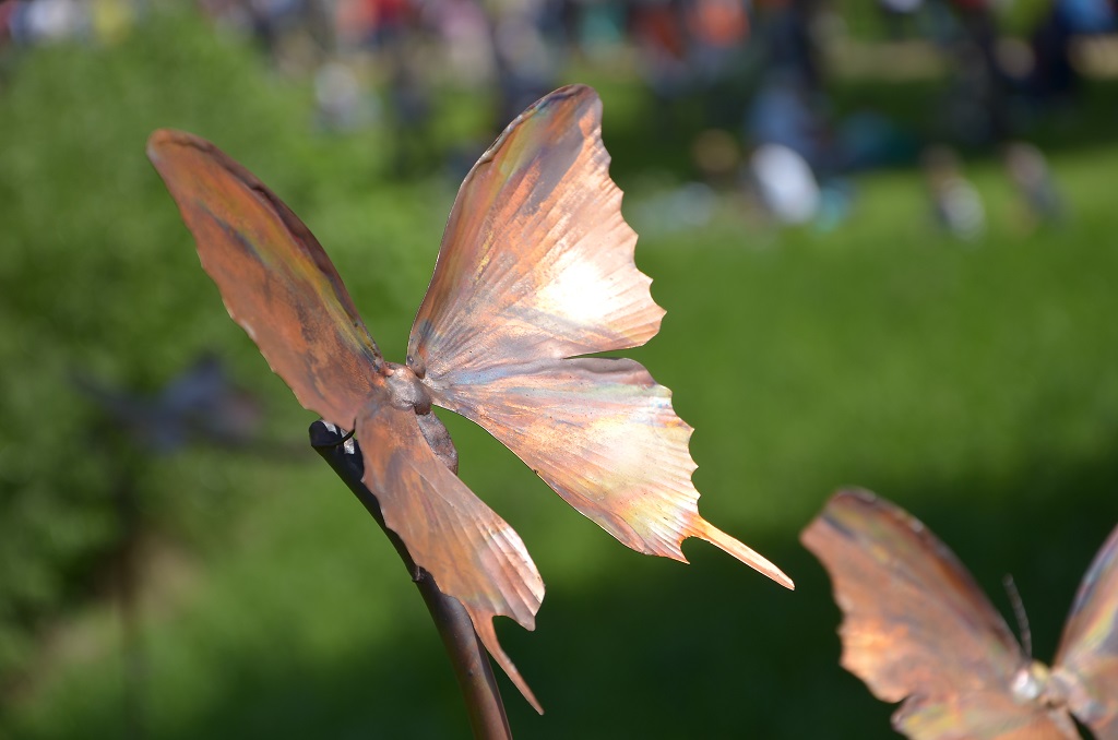kupferfarbener Schmetterling
Flachsmarkt Krefeld Linn 2013