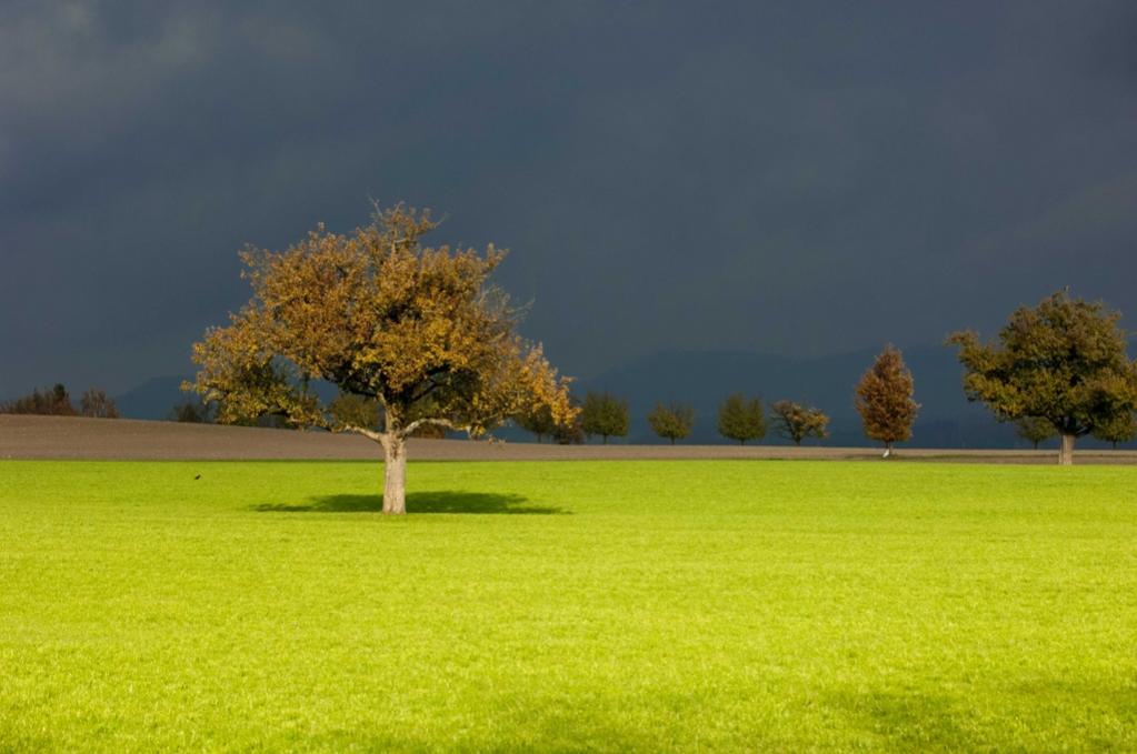 kurzes Lichtfenster bei Gewitterstimmung