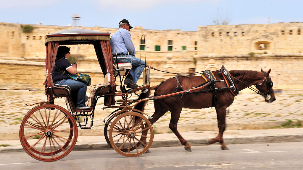 Kutsche in Valletta
(8905)