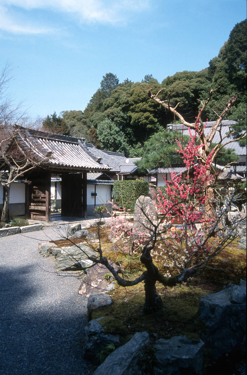 Kyoto, Unbekannter Tempel.jpg