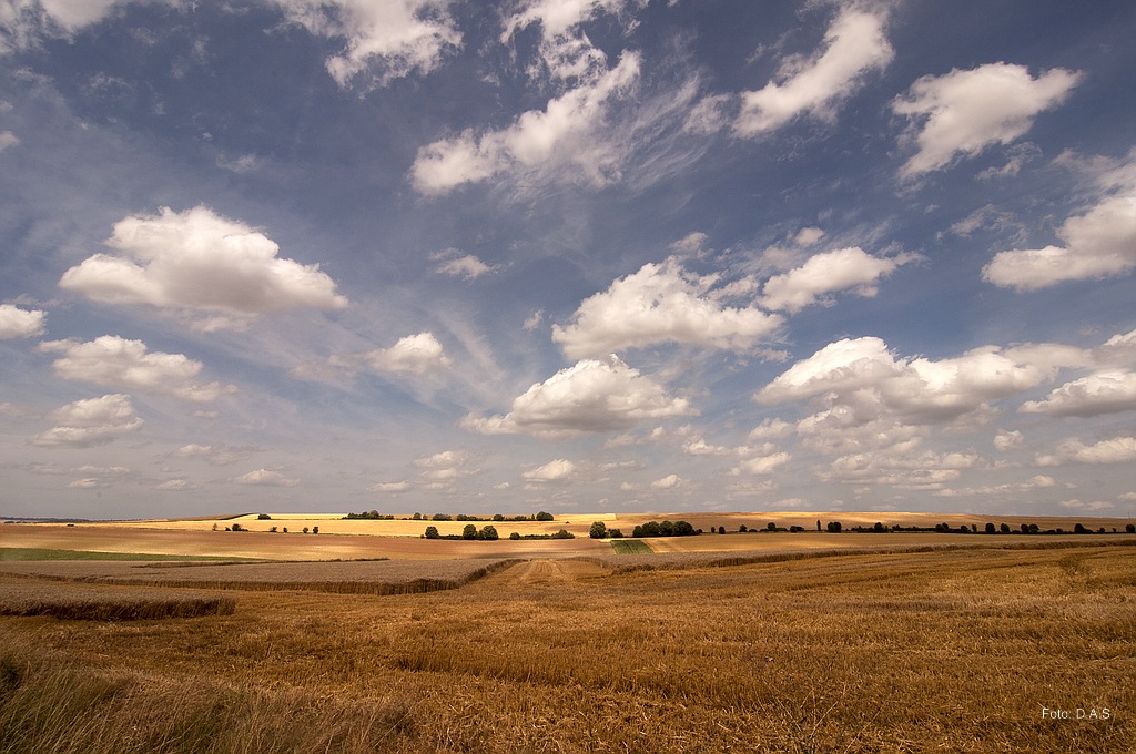 L´Asine (Picardie,Frankreich)
050813 D 056