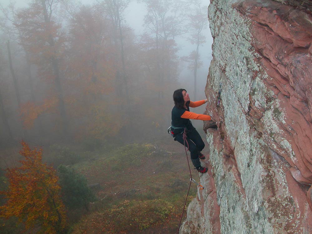 Löwenstein linksChris