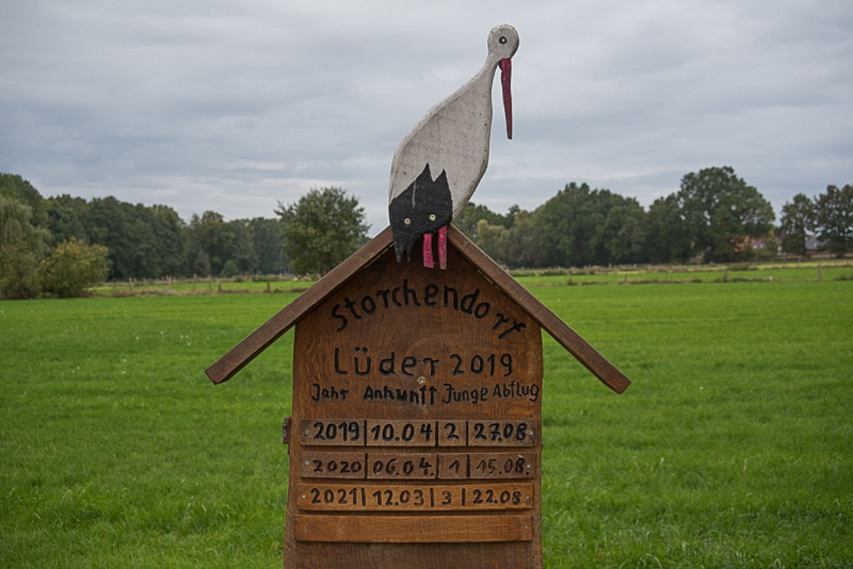Lüder Störche (1 von 1).JPG