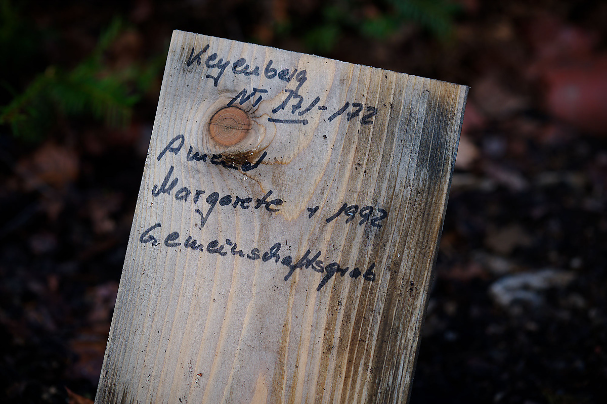 L Lütze (13).jpg
