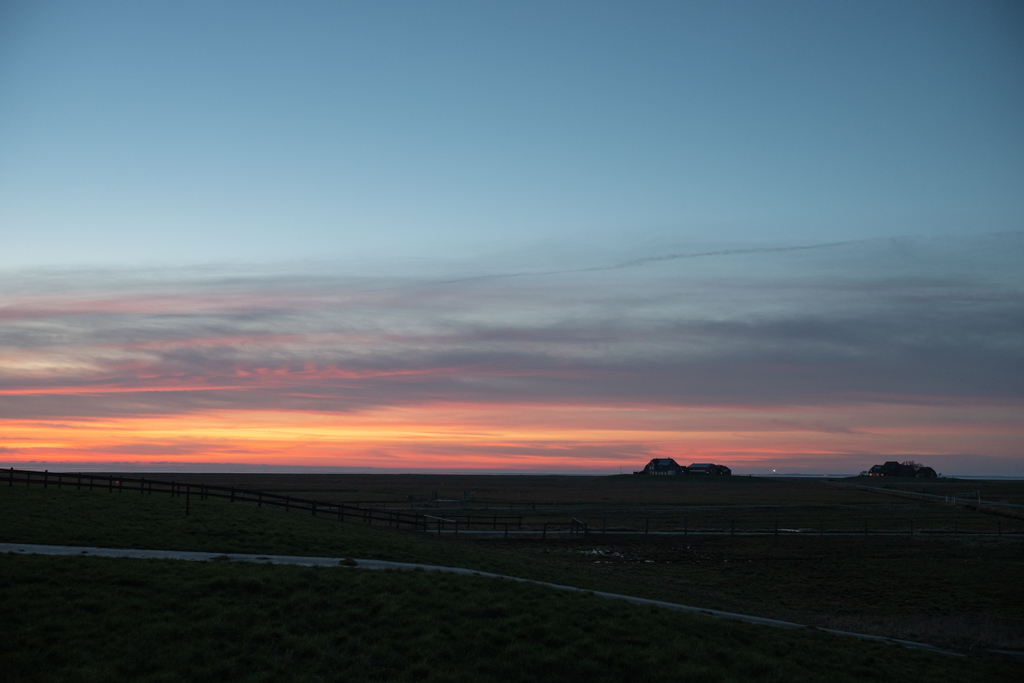 L1000070.jpg
