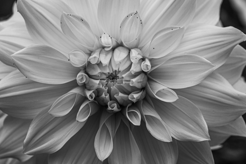 L1000422.jpg