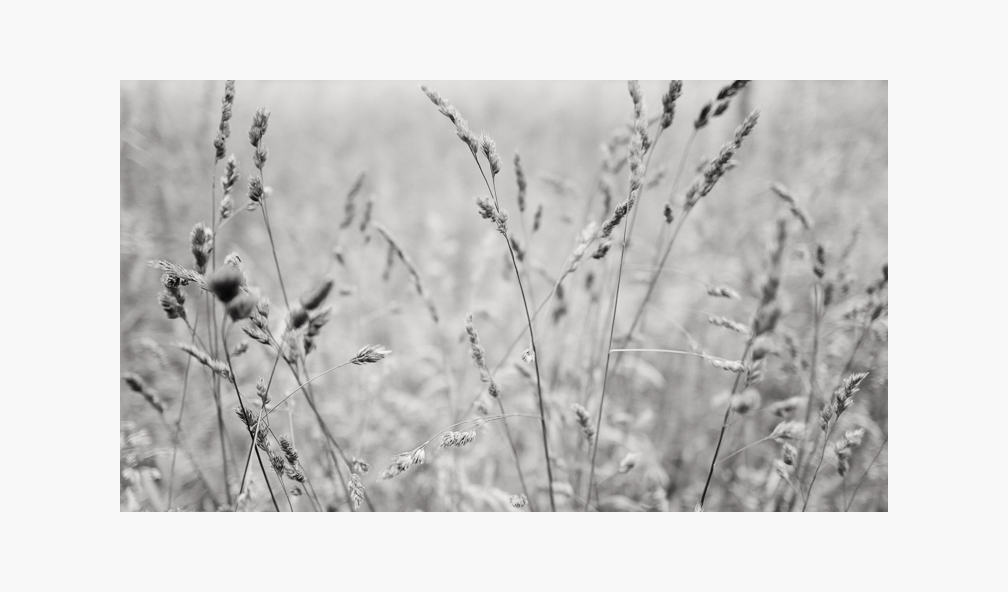 L1000677 Bearbeitet