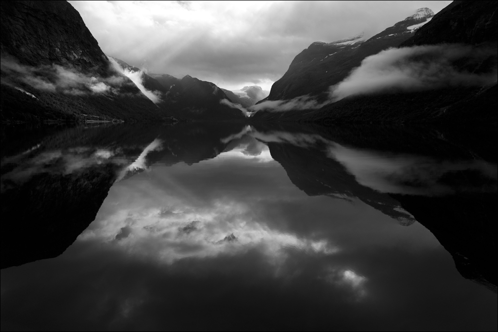 L1001901