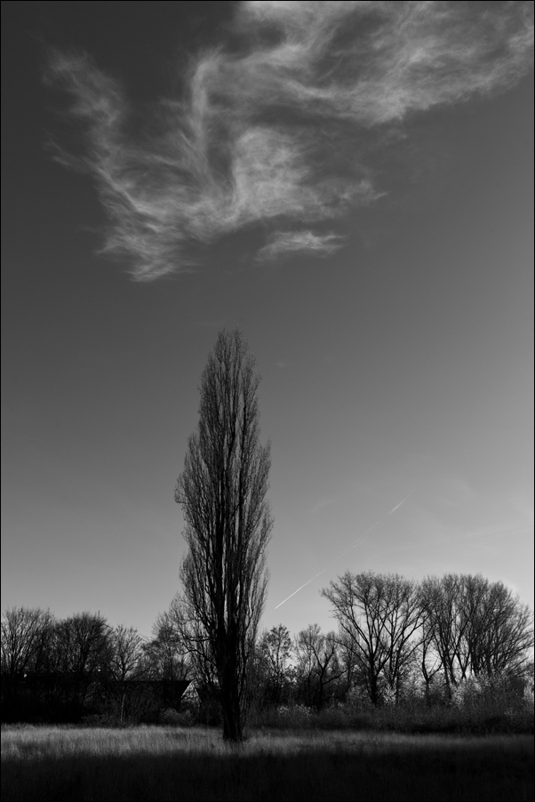 L1003080