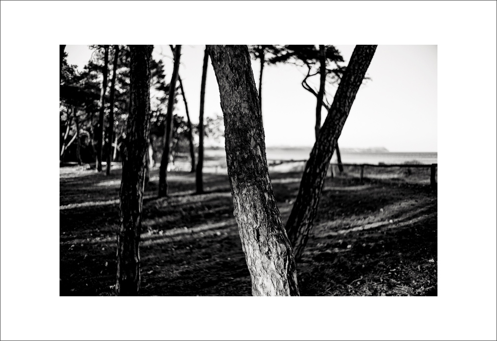 L1003111-Bearbeitet.JPG