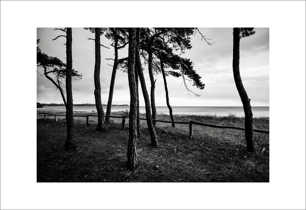 L1003171-Bearbeitet.JPG