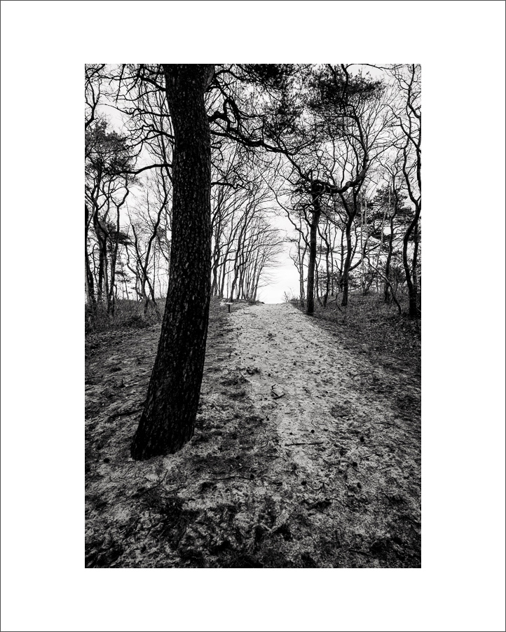 L1003190-Bearbeitet.JPG