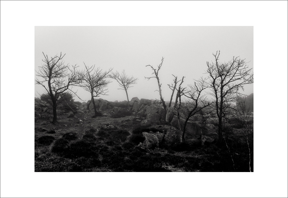 L1003356-Bearbeitet.JPG
