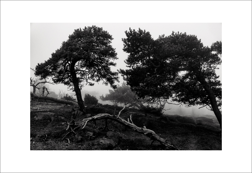L1003361-Bearbeitet.JPG