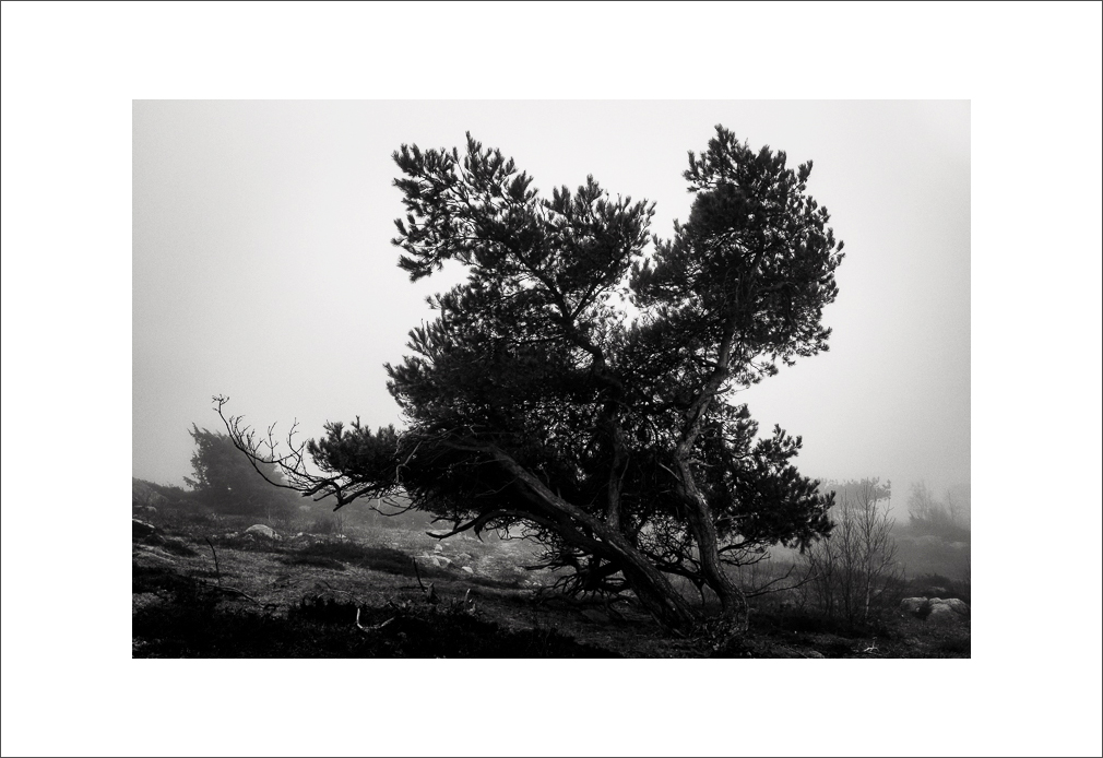 L1003363-Bearbeitet.JPG
